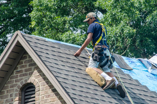 Best Flat Roof Repair Services  in Buchanan, VA